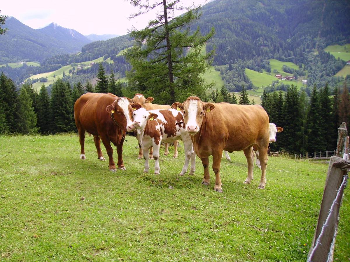 Bed and Breakfast Mittergruberhof Schladming Exterior foto